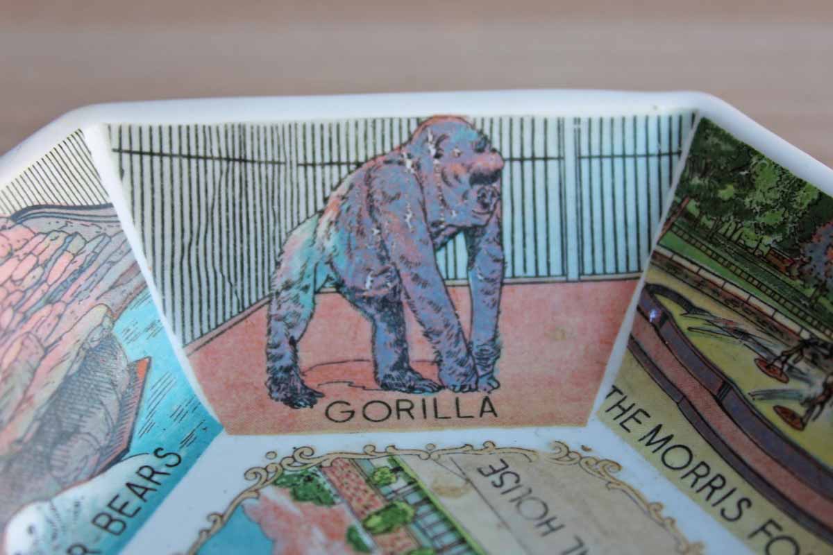 Philadelphia Zoo Souvenir Dish Decorated with Zoo Animal Scenes