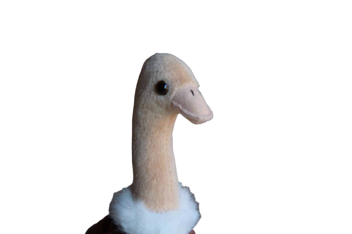 Ty Inc. (Illinois, USA) 1997 Stretch the Ostrich Beanie Baby
