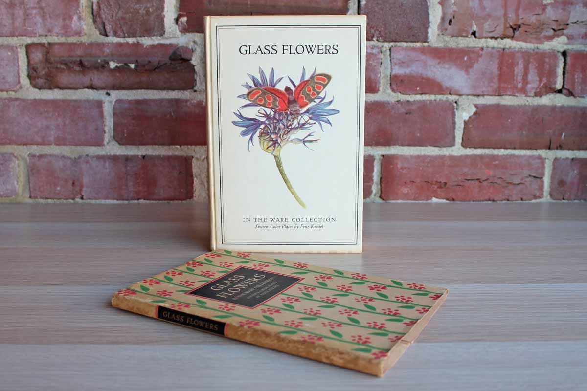 Glass Flowers from the Ware Collection of Harvard University--Insect Pollination Series by Fritz Kredel
