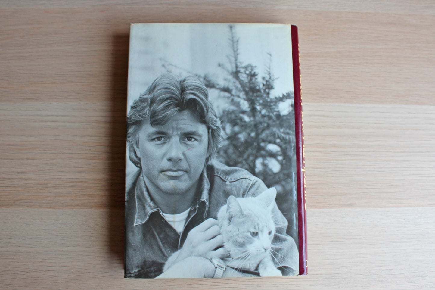 The Hotel New Hampshire by John Irving
