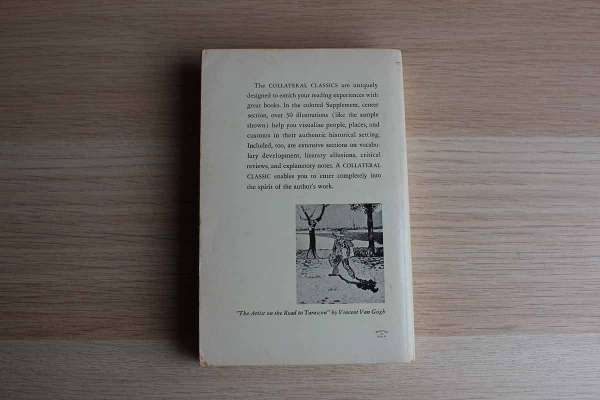 Lust for Life by Irving Stone
