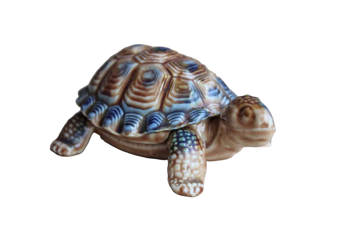 Wade (England) Lidded Tortoise Trinket Box