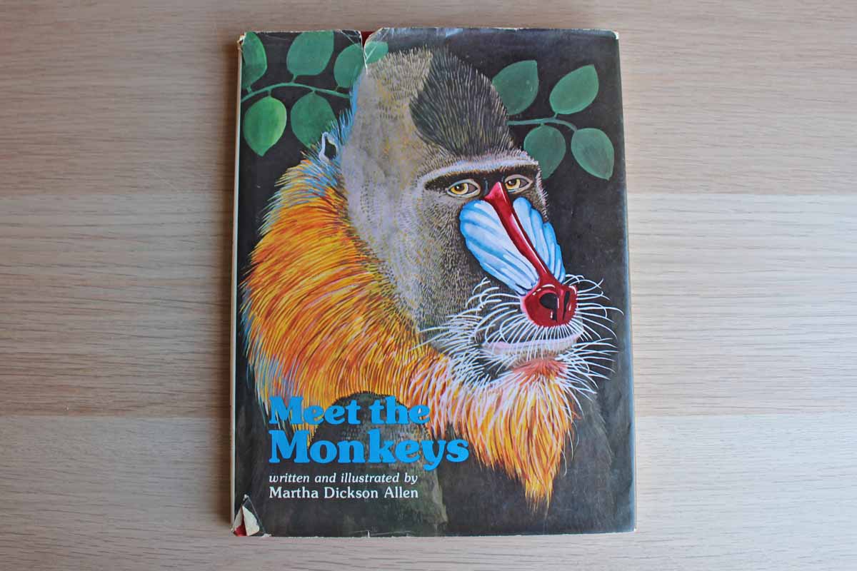 Meet the Monkeys by Martha Dickson Allen