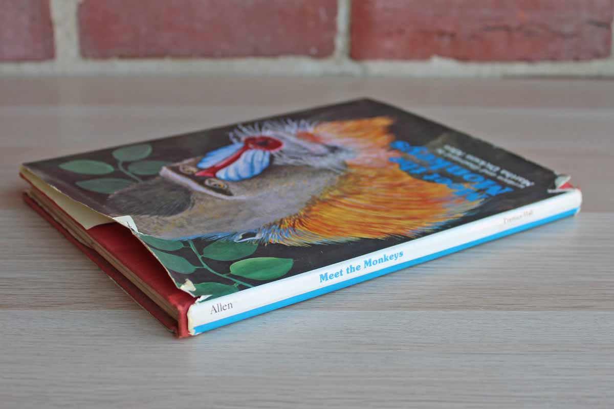 Meet the Monkeys by Martha Dickson Allen