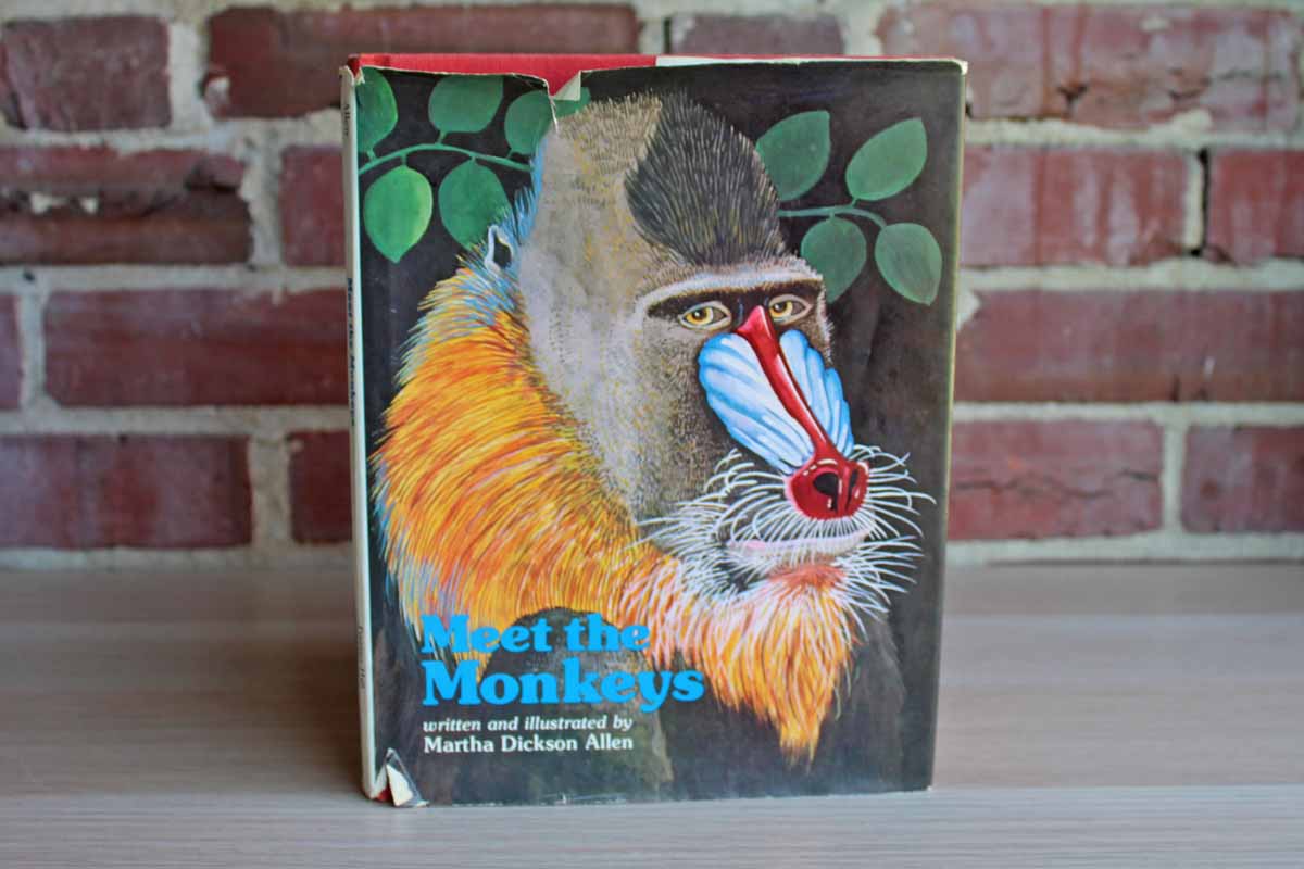 Meet the Monkeys by Martha Dickson Allen