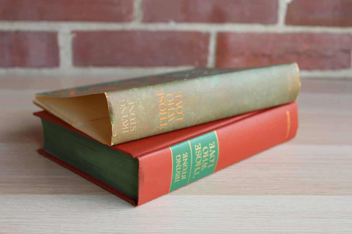 Those Who Love: A Biographical Novel of Abigail and John Adams by Irving Stone