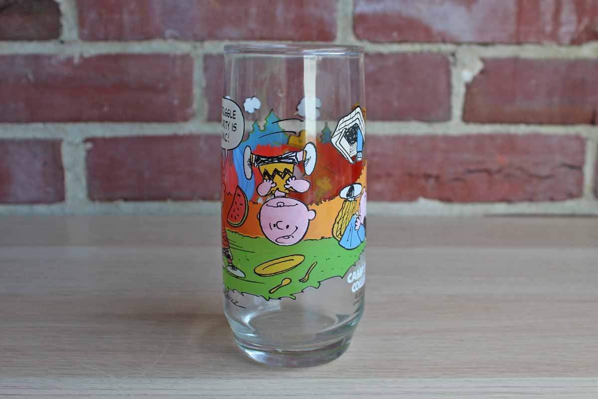 Camp Snoopy Collection "The Struggle For Security is no Picnic!" Drinking Glass
