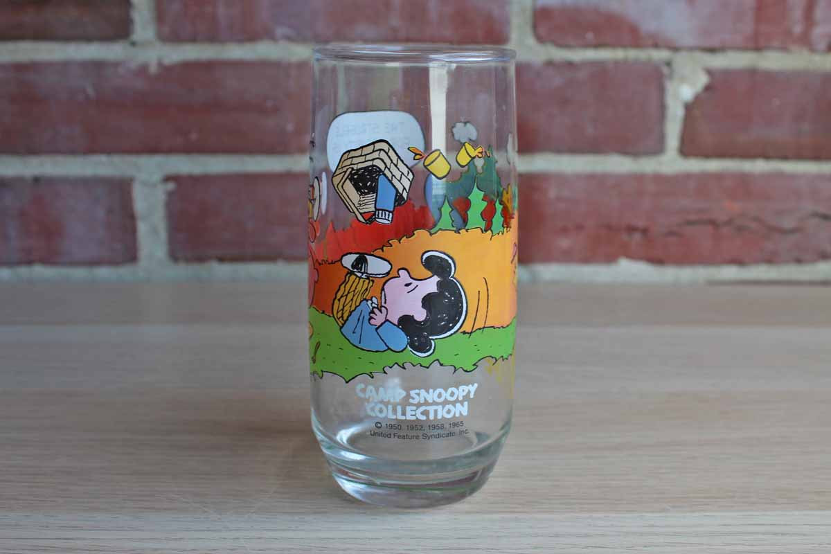 Camp Snoopy Collection "The Struggle For Security is no Picnic!" Drinking Glass