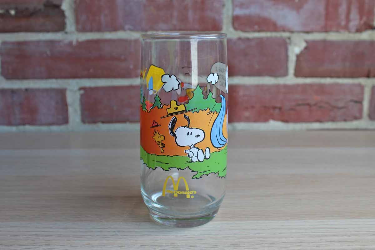 Camp Snoopy Collection "The Struggle For Security is no Picnic!" Drinking Glass
