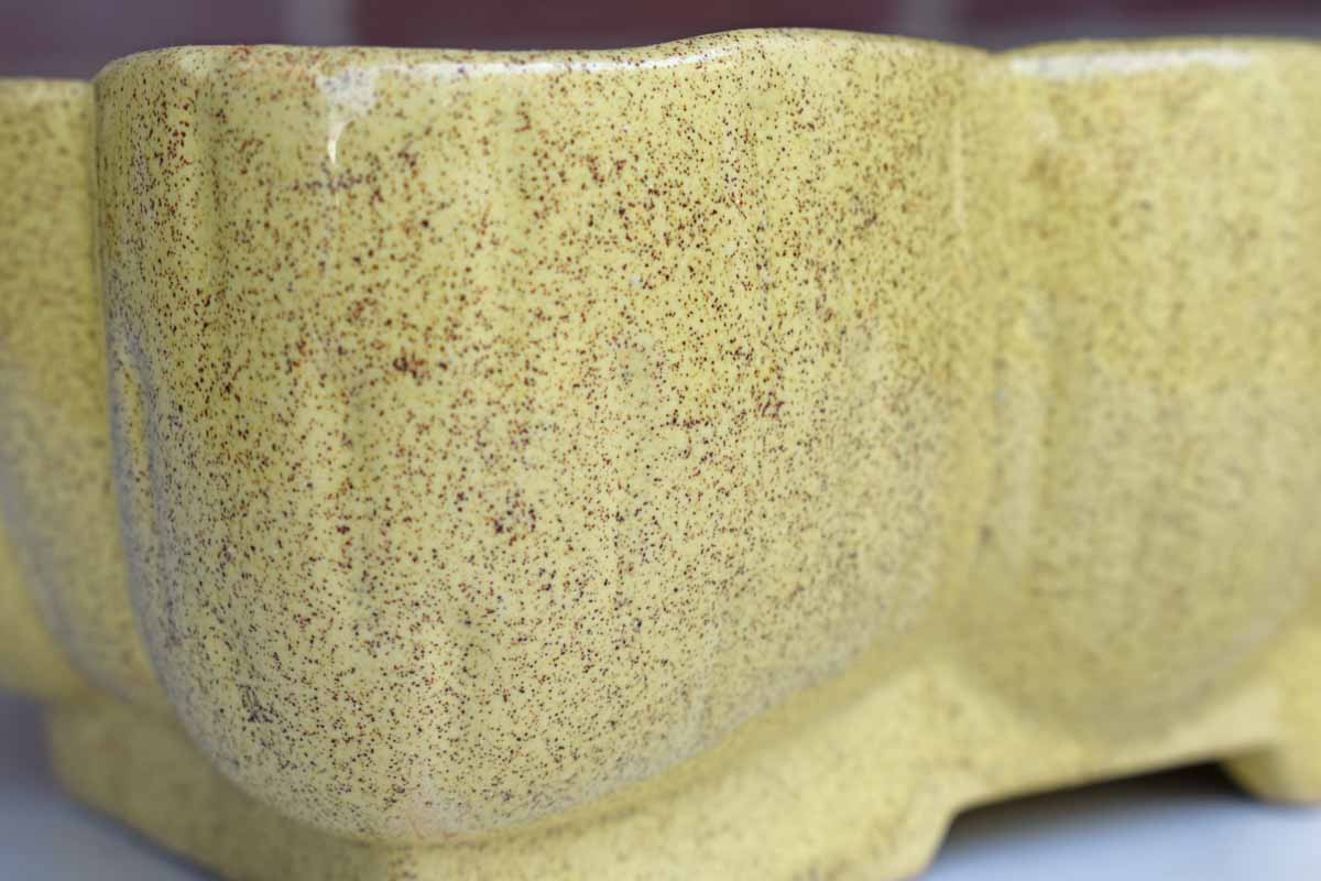UPCO 105-7 Speckled Yellow Bowtie Planter