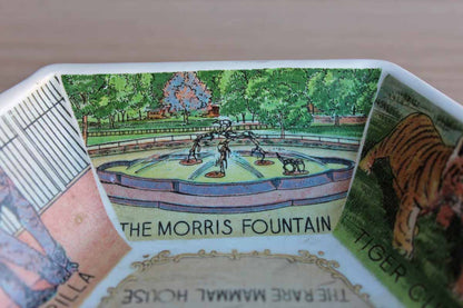 Philadelphia Zoo Souvenir Dish Decorated with Zoo Animal Scenes