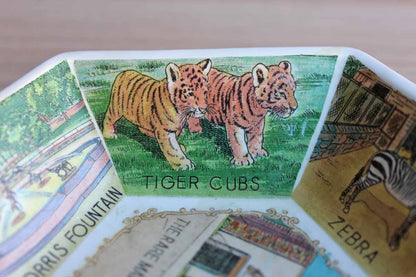 Philadelphia Zoo Souvenir Dish Decorated with Zoo Animal Scenes