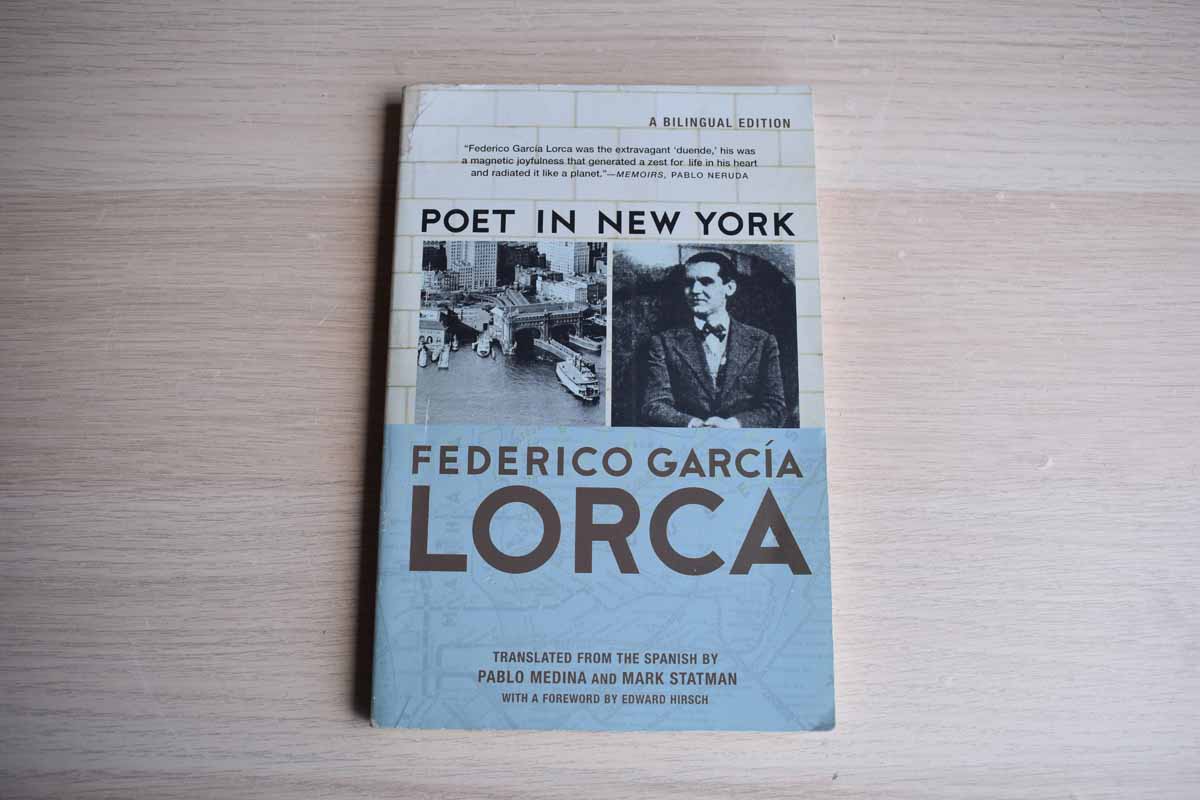 Poet in New York by Federico Garcia Lorca