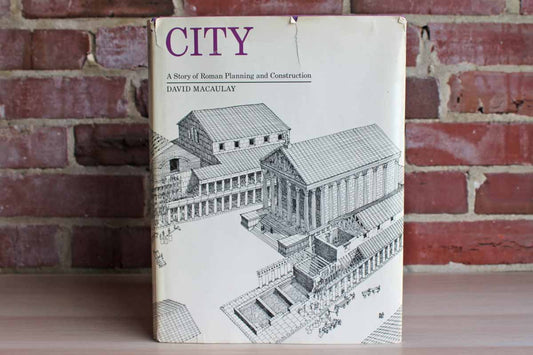 City:  A Story of Roman Planning and Construction by David Macaulay