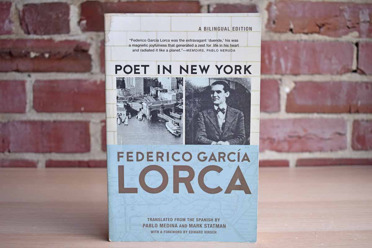 Poet in New York by Federico Garcia Lorca