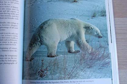 Lords of the Arctic:  A Journey Among the Polar Bears by Richard C. Davids