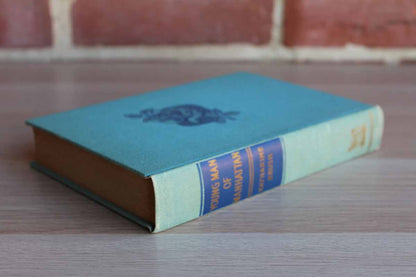 Young Man of Manhattan by Katharine Brush
