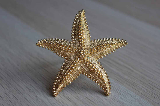 Monet (New York, USA) Gold Tone Starfish Brooch