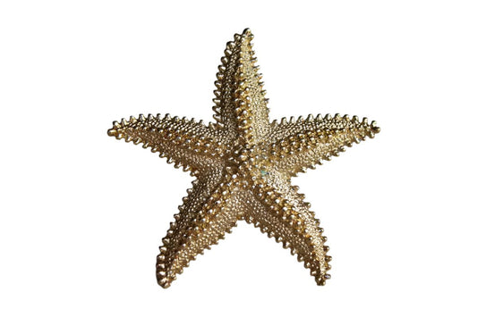 Monet (New York, USA) Gold Tone Starfish Brooch