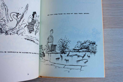 Up the Garden Path:  Thelwell's Guide to Gardening by Norman Thelwell