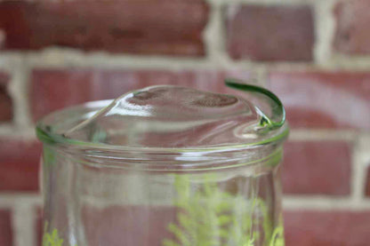 Glass Handled Drink Pitcher with Fern and Ginkgo Leaves Decoration
