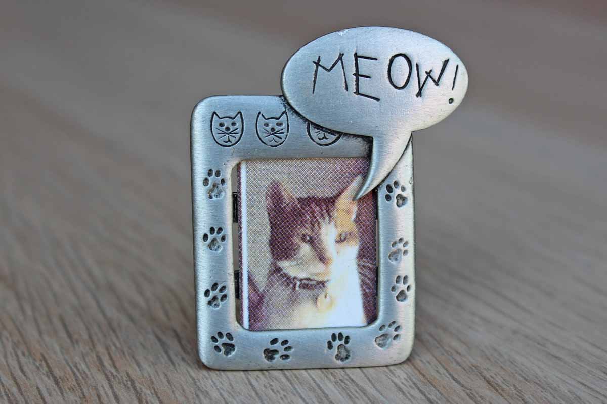 Jonette Jewelry (Rhode Island, USA) Silver Tone Cat Picture Frame Brooch