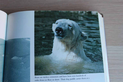 Lords of the Arctic:  A Journey Among the Polar Bears by Richard C. Davids