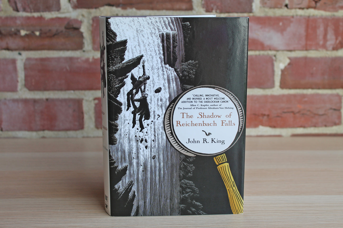 The Shadow of Reichenbach Falls by John R. King