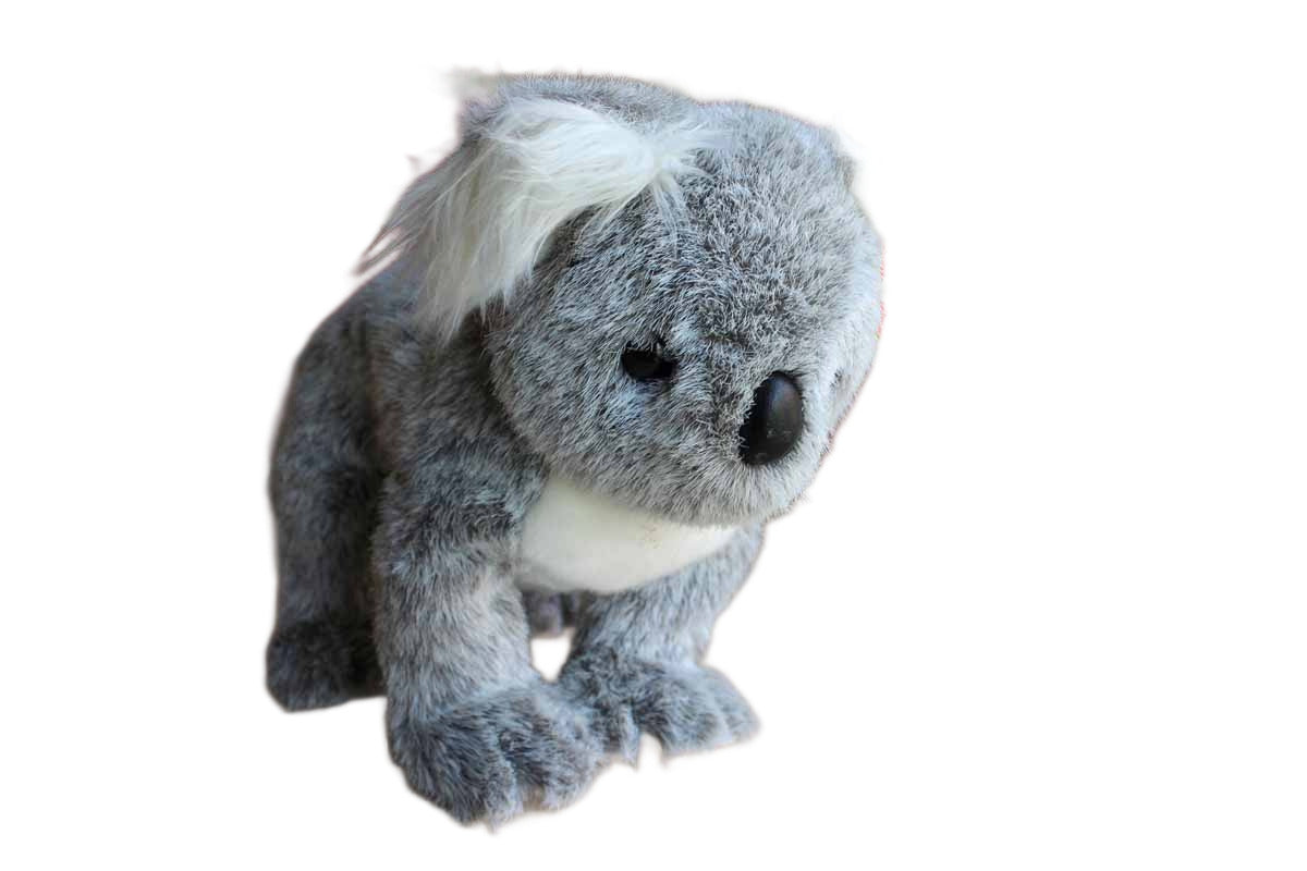 Ty Inc. (Illinois, USA) Large Classic "Beaut" the Koala Bear