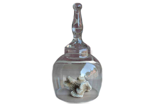 Clear Glass Handled Display Cloche