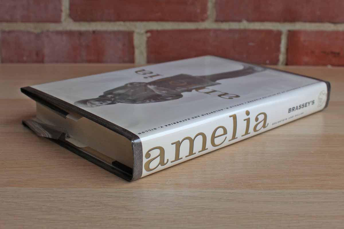 Amelia by Donald M. Goldstein and Katherine V. Dillon