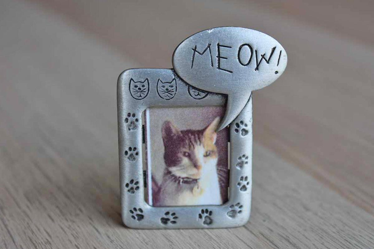 Jonette Jewelry (Rhode Island, USA) Silver Cat Frame Pin with Paw Prints and the Word "Meow!