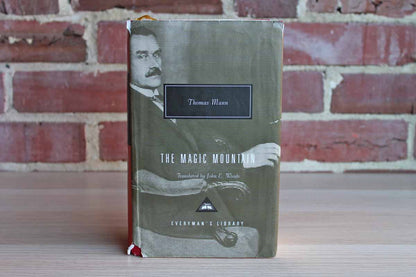 The Magic Mountain by Thomas Mann