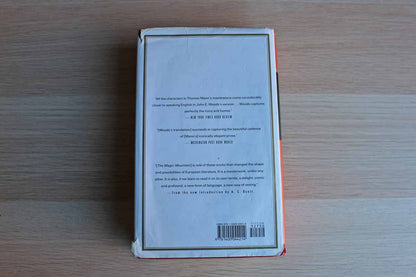 The Magic Mountain by Thomas Mann