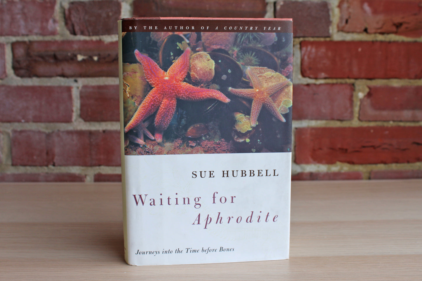 Waiting for Aphrodite by Sue Hubbell