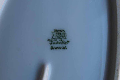 C. Hutschenreuther (Bavaria, Germany) Uno "Favorite" Bavaria Hand Painted Bowl