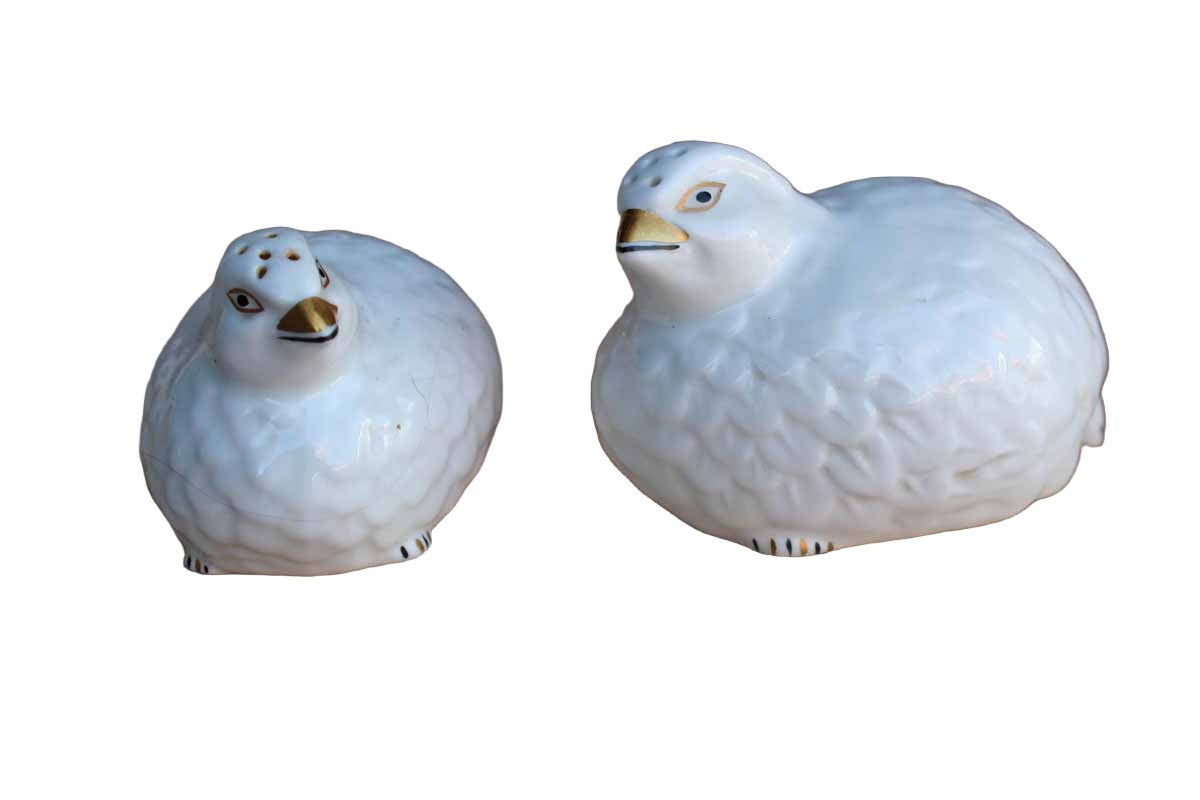 Aynsley (England) Hand Modelled and Painted Fine Bone China Bird Salt and Pepper Set