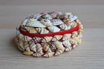Small Oval Seashell Trinket Box Lined in Red Felt