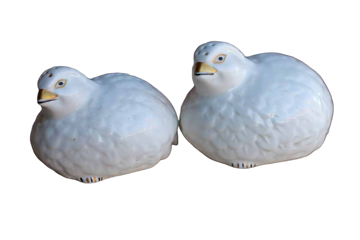 Aynsley (England) Hand Modelled and Painted Fine Bone China Bird Salt and Pepper Set