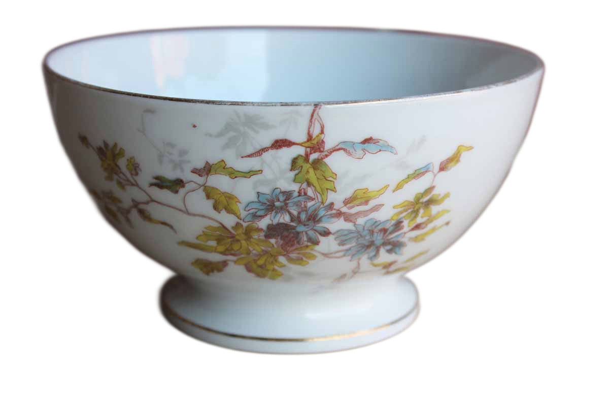 Lewis Straus & Sons (Limoges, France) Decorated Bowl