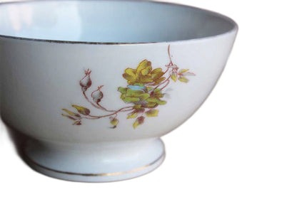 Lewis Straus & Sons (Limoges, France) Decorated Bowl