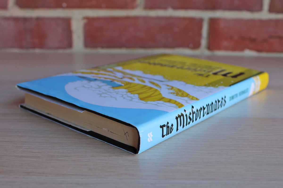 The Misfortunates by Dimitri Verhulst