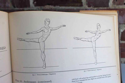 The Classic Ballet Basic Technique and Terminology