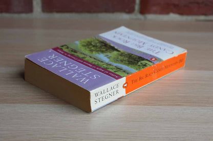 The Big Rock Candy Mountain by Wallace Stegner