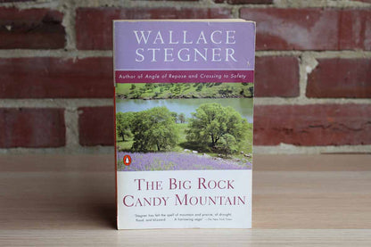 The Big Rock Candy Mountain by Wallace Stegner