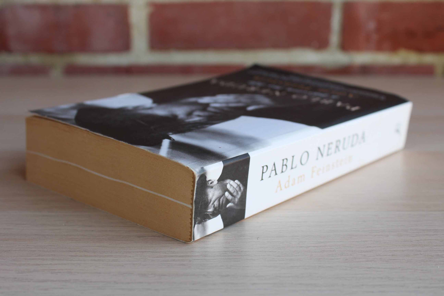 Pablo Neruda:  A Passion for Life by Adam Feinstein