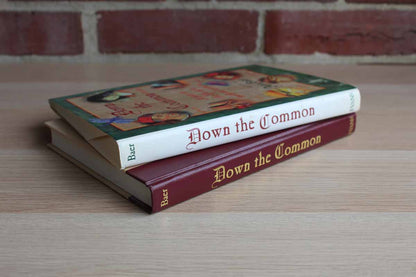 Down the Common A Year in the Life of a Medieval Woman by Ann Baer