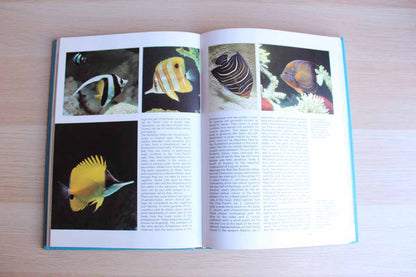 Aquarium Life by Vanna Dal Vesco, Wolfgang Klausewitz, Bruno Peyronel and Enrico Tortonese