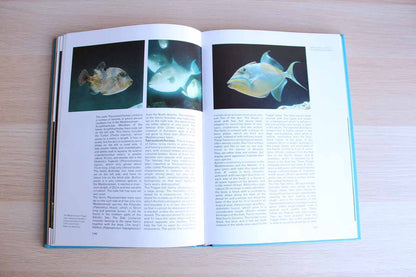 Aquarium Life by Vanna Dal Vesco, Wolfgang Klausewitz, Bruno Peyronel and Enrico Tortonese
