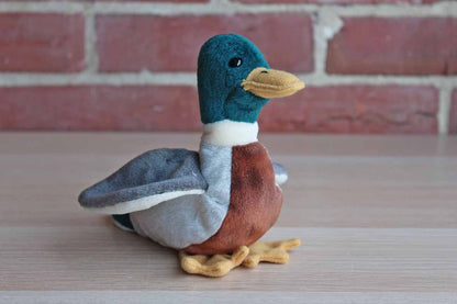 Ty Inc. (Illinois, USA) 1997 Jake the Mallard Beanie Baby